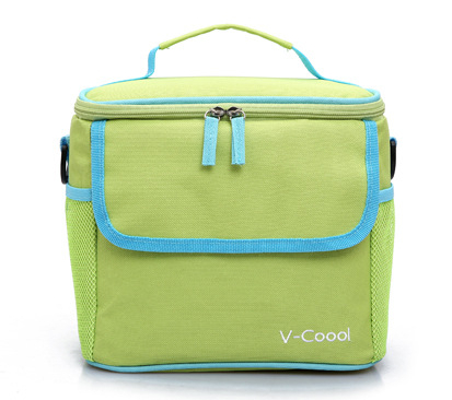 Cooler bag for storage baby milk