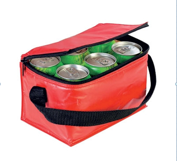 6 can cooler bag