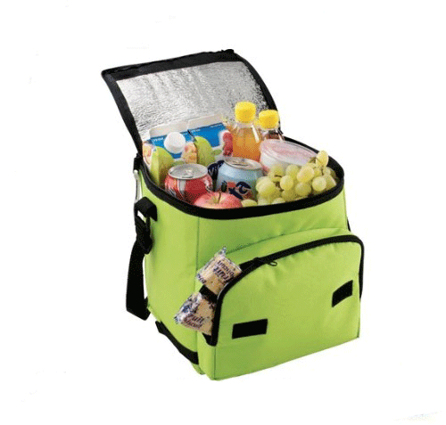 Foldable cooler bag